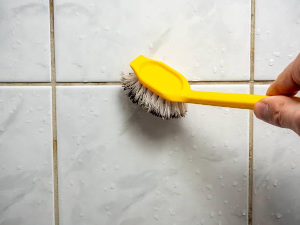 Mold Removal Process in Littlerock, CA