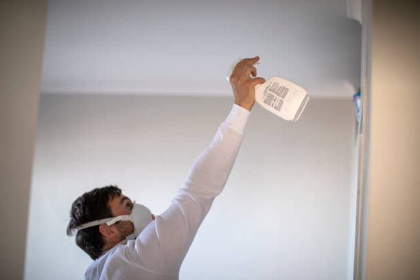 Best Residential Mold Removal  in Littlerock, CA