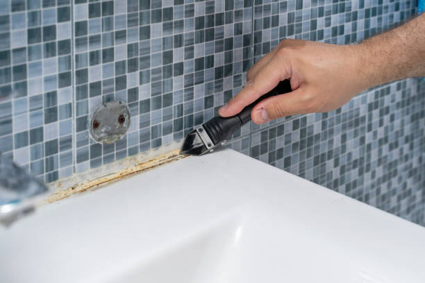 Best Mold Remediation  in Littlerock, CA